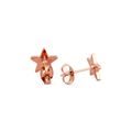 Rose Gold Little Star