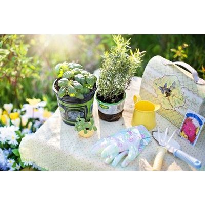 Jarní nápady - Stolní bylinkový záhon