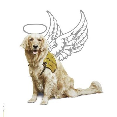 VUCH dělá o Vánocích radost lidem i pejskům