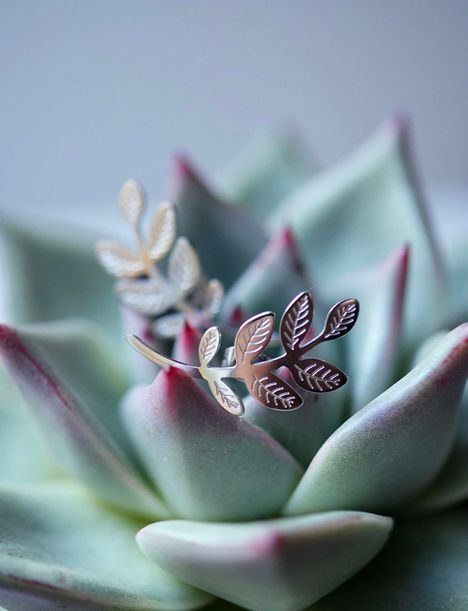 Náušnice Leaves Silver