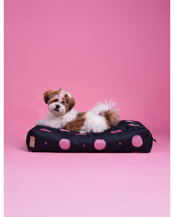 Buddys Dotty Black