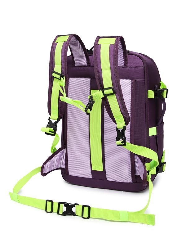Treviq Purple