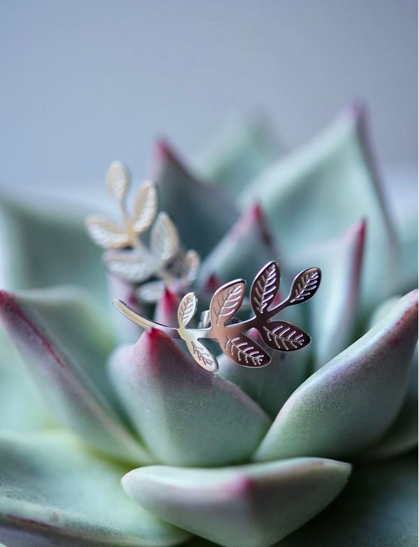 Náušnice Leaves Silver