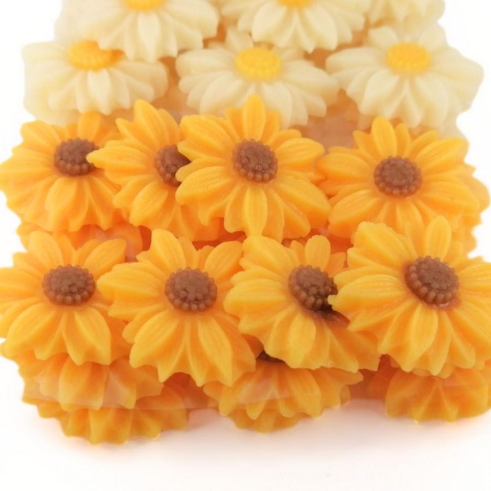 Sedmikrásky (20ks) slunečnice - Fagoš