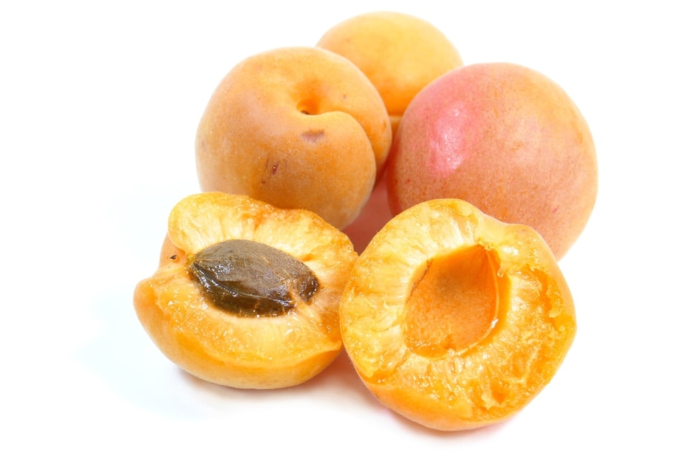Ztužovač Meruňka Fond Apricot 2,5 kg - Dawn
