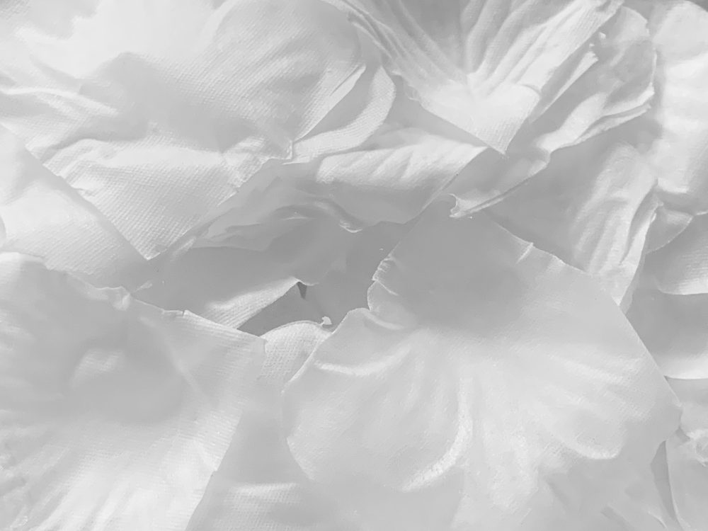 Bílé okvětní lístky růží - nejedlá dekorace - PartyDeco