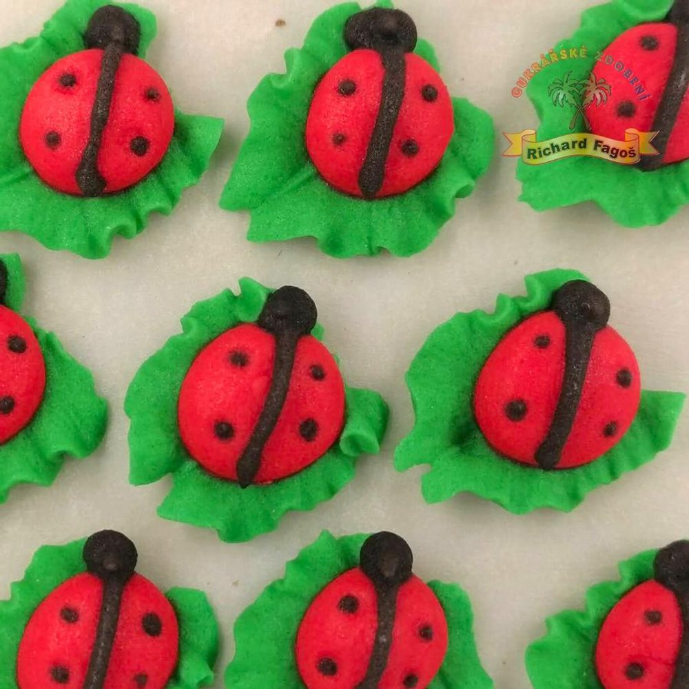 Cukrové dekorace berušky na lístečku - Fagoš