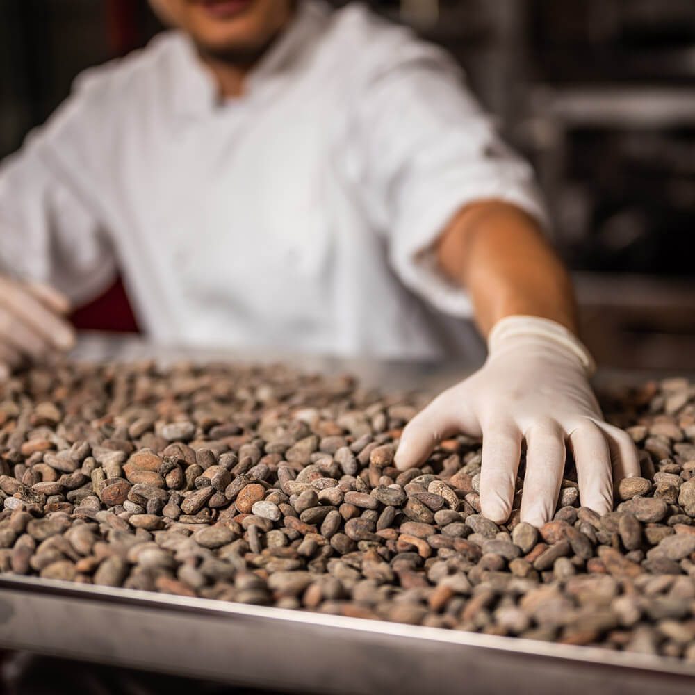 Pražené kakaové boby výběrová odrůda Criollo - 1 kg -