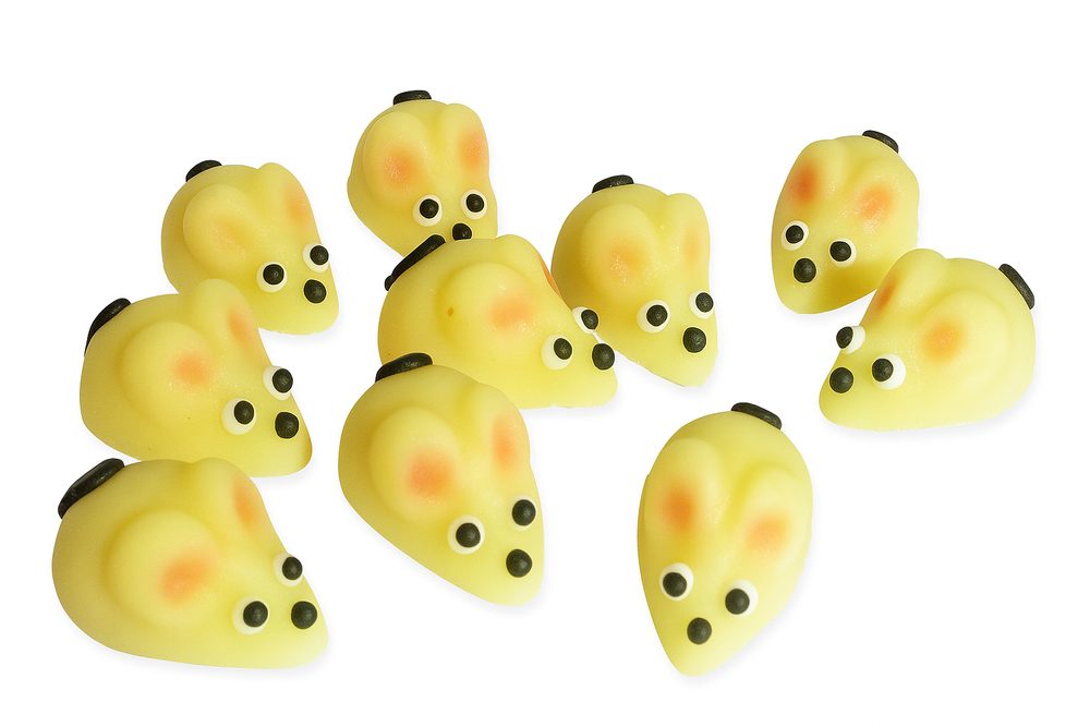 Minimyšky – 10 kusů  - marcipánová zvířátka - Frischmann