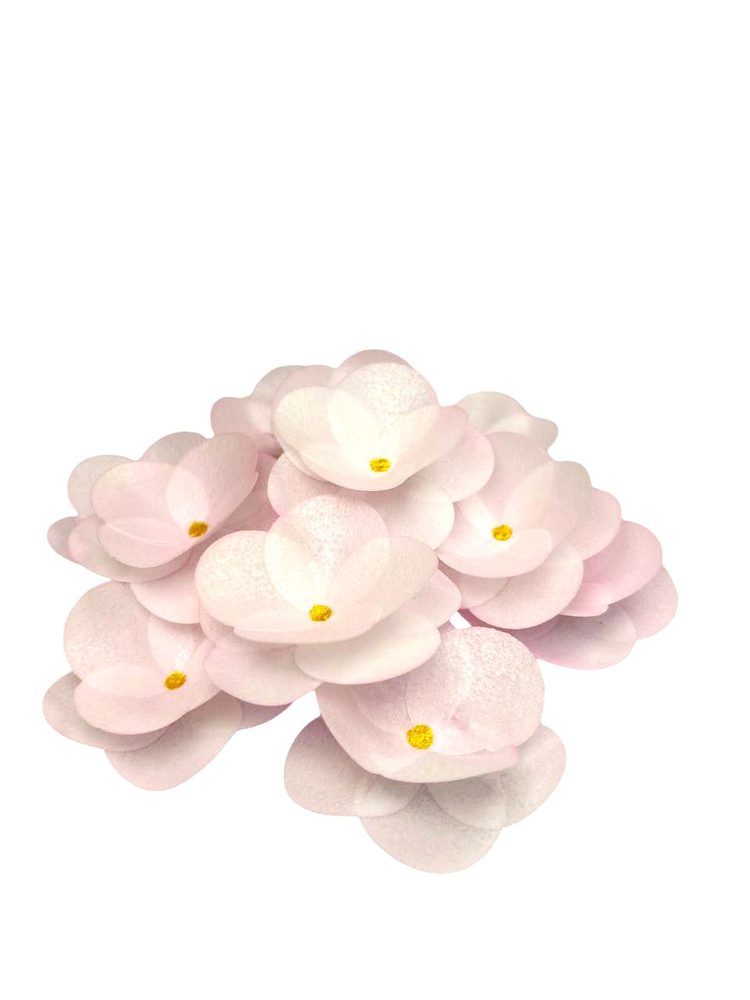 Růžová kamélie – oblátková dekorace - K-Decor
