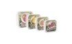 Fruit Snack Box Set of 4
