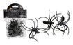 50 pavouků - Halloween