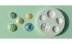 Silicone mould for decorative buttons and sea shells