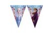 Ice Kingdom Flag Garland 2 - Frozen 2, 230 cm