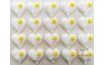 Sugar Decorations – White Hearts with Yellow Flower