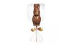 Chocolate lollipop / bunny plug
