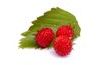 Wild strawberry flavouring paste - 200 g