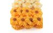 Daisies (20 pcs) – Sunflowers
