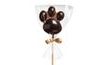 Milk/Bitter Chocolate Lollipop - Paw