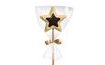 Chocolate lollipop dark/white - star