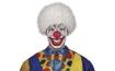 CLOWN WIG - JESTER - WHITE - AFRO