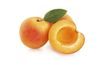 Apricot Fruit Gel 1 kg