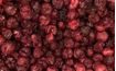 Lyophilised whole cherries - 1000 g