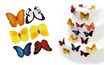 Colourful butterflies - decoration made of edible paper