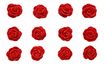 Edible Red Roses - 12 pcs