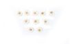 White Hollyhock – sugar flowers for cake, 10 pieces