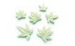 Silicone mould Cannabis leaves