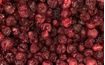 Lyophilised whole cherries - 50 g