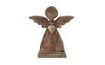 ANGEL with a Metal Heart