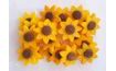 Slnečnice (20 ks)