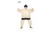 SUMO Costume with Automatic Inflation, Size L 52-54