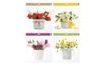Window Film 6867 Flowers 30x33.5 cm