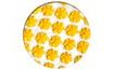 Sugar decoration - Little carnations 35 pc. yellow