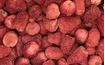 Lyophilised whole strawberries - 50 g