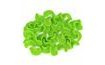 Modelované lístočky malé (balenie) svetlozelené