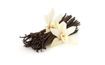 Vanilla flavouring 20 ml