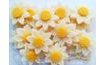 Daisy Flowers 69g (20 pcs)