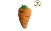 Modelling Paste Carrot Decoration