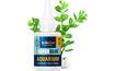 Aquarium Glue 50g