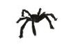 Chlupatý PAVOUK tvarovatelný 60 cm - Halloween