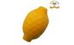 Modelled Fruit – Lemon