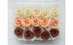 Mini tortové ruže – biela, čajová, hnedá (15 ks)