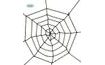 Černá pavučina - Halloween 60 cm