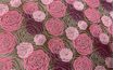 Transzfér fólia - Rózsa