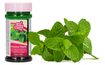 Flavour Paste Green Mint 100 g