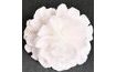 Handmade Sugar Carnation Flower – White (5.5 cm)